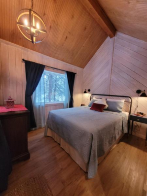 Denali Wild Stay - Muskrat cabin, private, free wifi, free parking